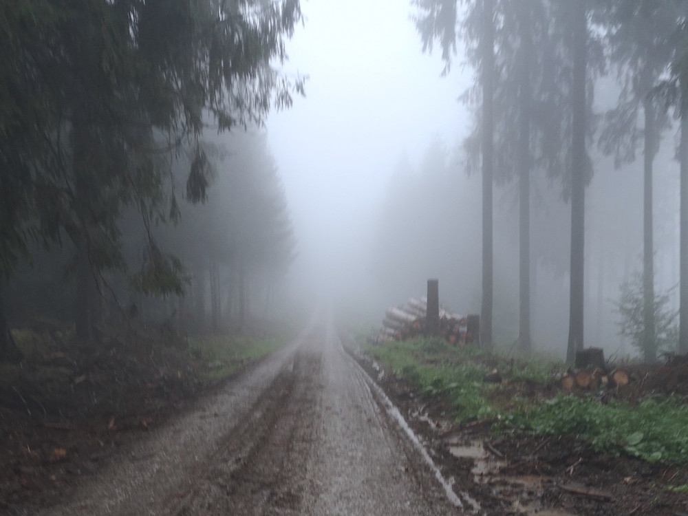 Nebel auf dem Harzer Hexenstieg