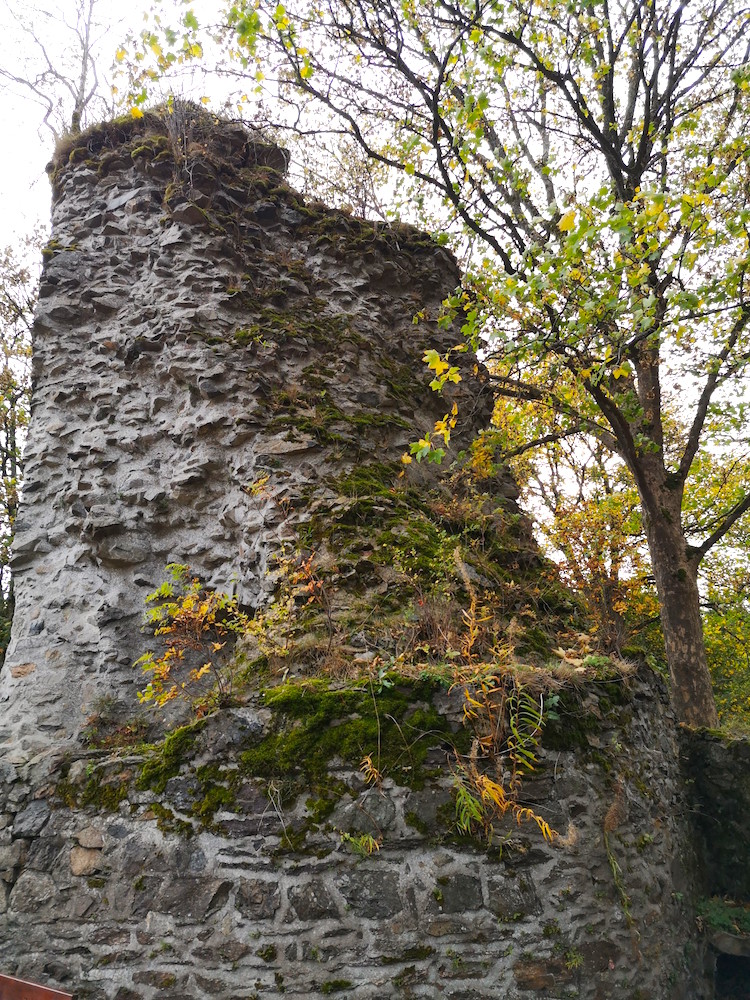 Ruine Königsburg