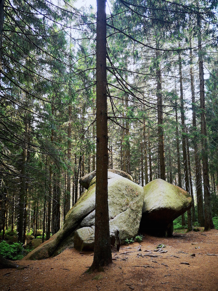 Die Dreibrodesteine im Harz