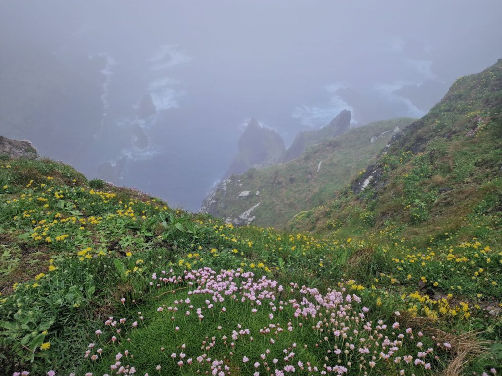 Verhangene Ausblicke an den Kerry Cliffs