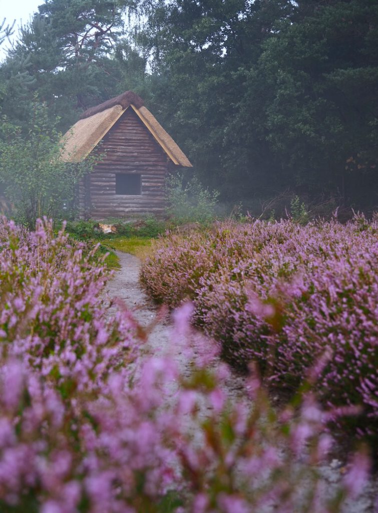 Oldendorfer Totenstatt im Morgennebel