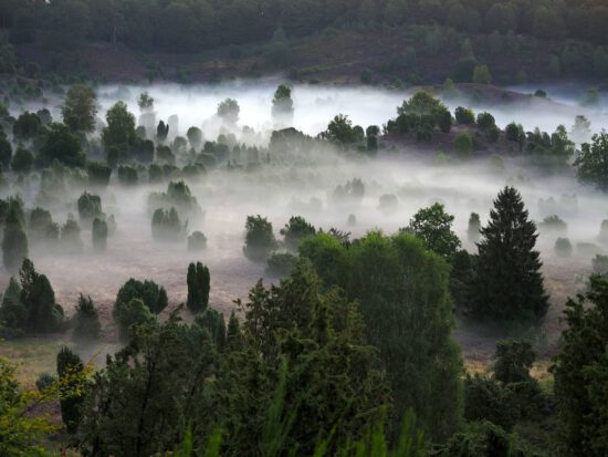 Mein Wanderführer: „Mystische Pfade Lüneburger Heide“