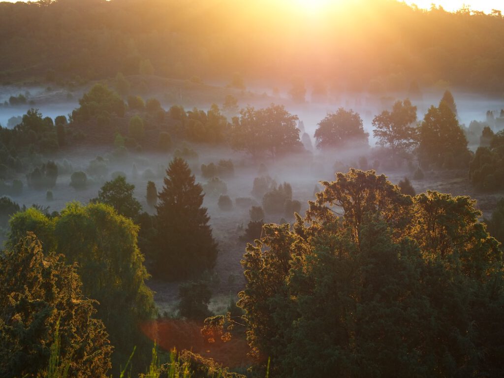 Sonnenaufgang am Totengrund
