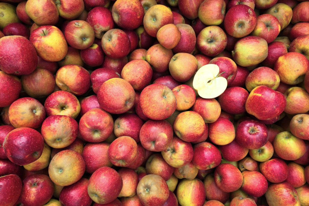 Äpfel
