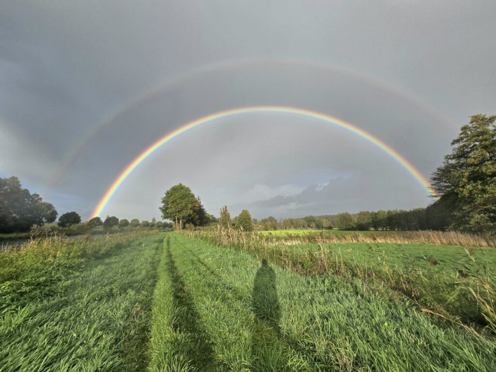 Regenbogen